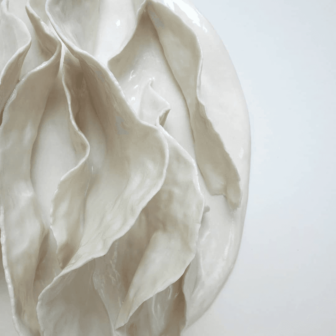 Abstract Shell White